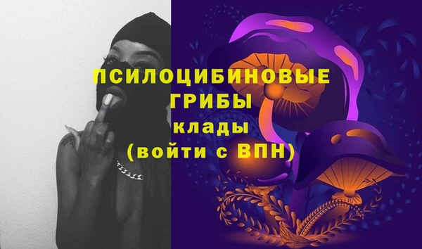 спайс Абдулино