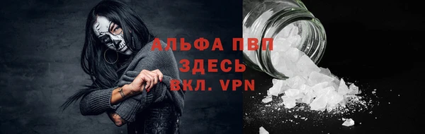 стаф Абаза