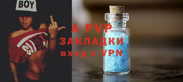стаф Абаза