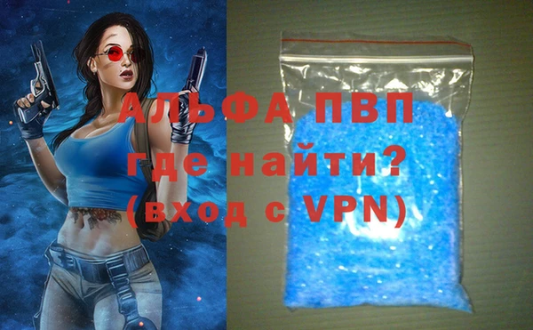 стаф Абаза