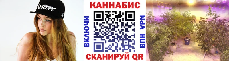 Бошки Шишки индика  Южно-Сухокумск 
